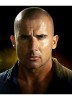 photo Dominic Purcell